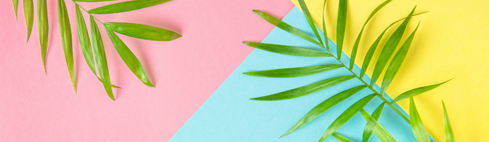 Get ready for Summer with our Summer essentials!