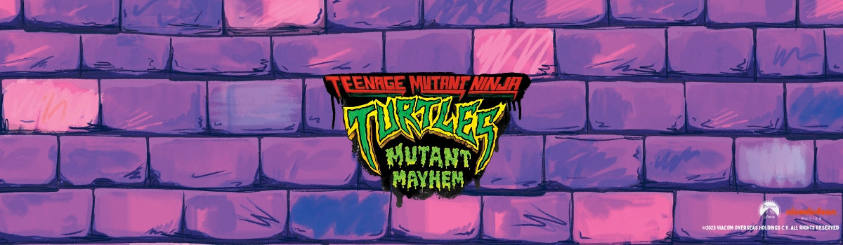 Meet the Teenage Mutant Ninja Turtles!