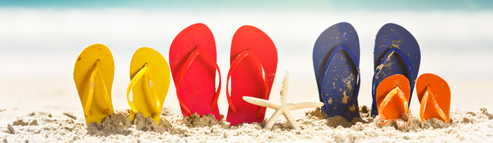 Our Summer Sandal Collection!☀️