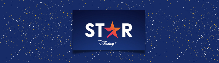 Introducing Star on Disney +
