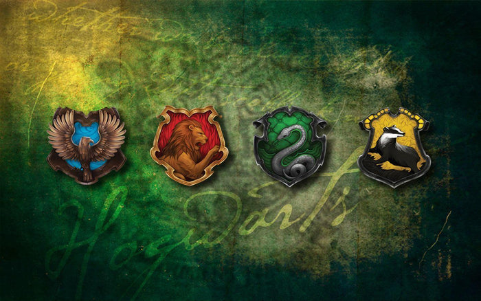 What Hogwarts House are you in?