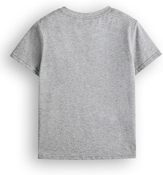 Marvel Avengers Boys Grey Graphic T-Shirt