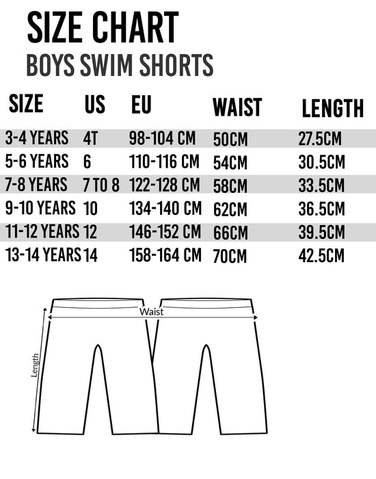 Dragonball Z Boys Swim Shorts