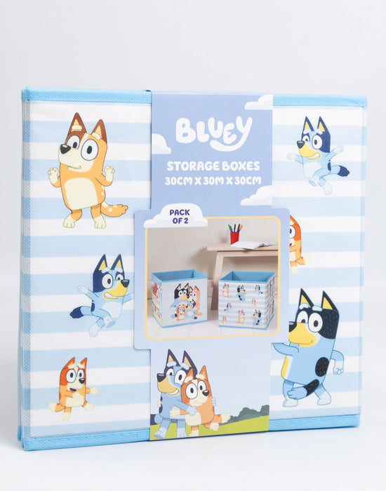 Bluey Multi Character Unisex Kids Blue Storage Cube Twin Pack