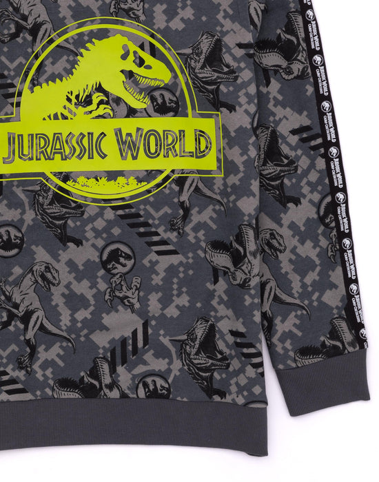 Jurassic World Logo Unisex Kids Grey Hoodie