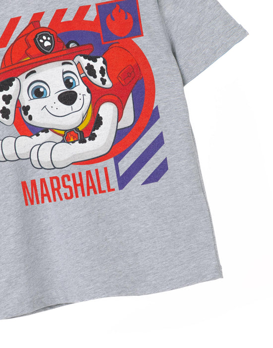PAW Patrol Marshall Boys Grey Marl Short Sleeved T-Shirt