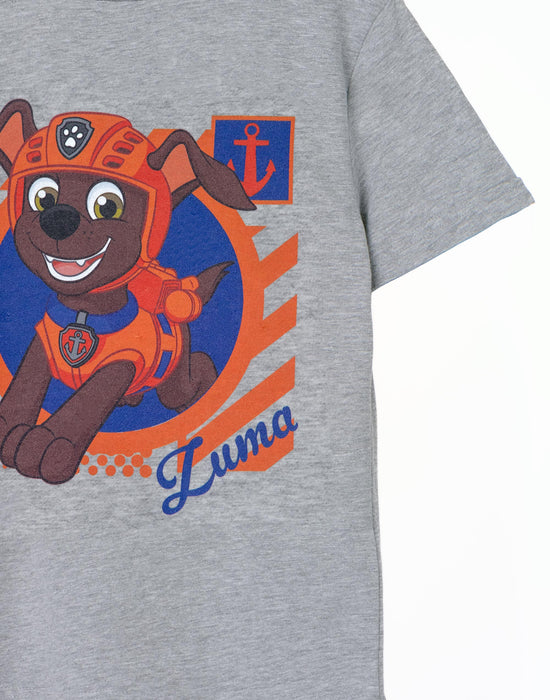 PAW Patrol Zuma Boys Grey Marl Short Sleeved T-Shirt