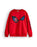 Marvel Spiderman Web & Eyes Boys Sweatshirt