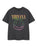Nirvana Rainbow Logo Kids Unisex Kids Grey Short Sleeved T-Shirt