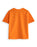 Zog Big Face Unisex Kids Orange Short Sleeved T-Shirt