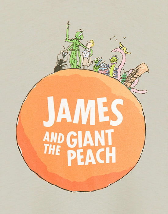 Roald Dahl James and The Giant Peach Unisex Kids Beige Short Sleeved T-Shirt
