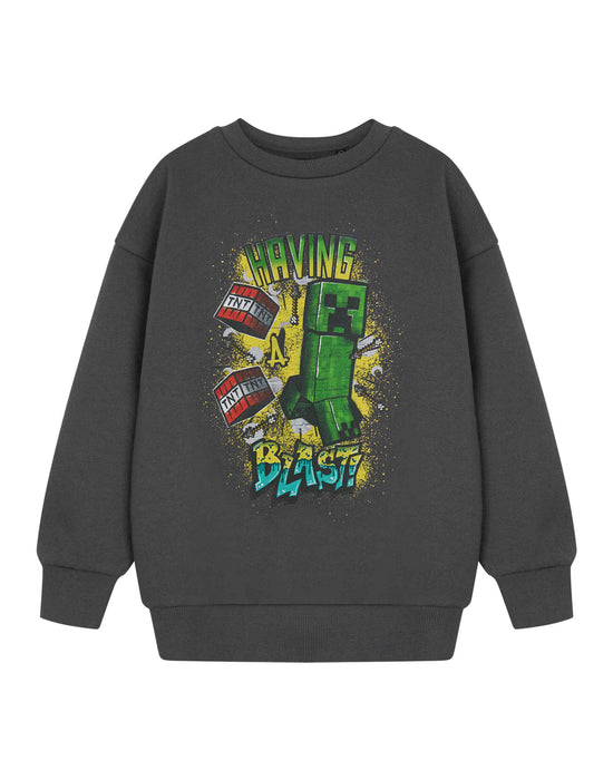 Minecraft Having A Blast Boys Grey Sweatshirt