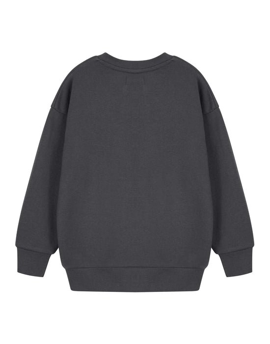 Minecraft Having A Blast Boys Grey Sweatshirt