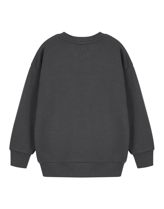 SpongeBob SquarePants Skateboard Boys Grey Sweatshirt