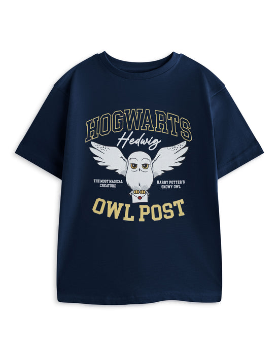 Harry Potter Owl Post Girls Blue Short Sleeved T-Shirt