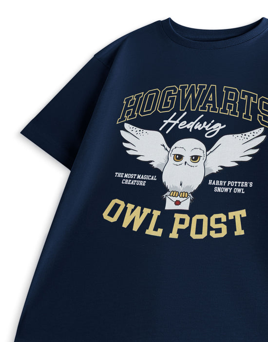 Harry Potter Owl Post Girls Blue Short Sleeved T-Shirt