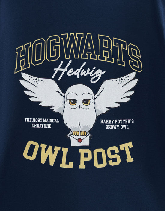 Harry Potter Owl Post Girls Blue Short Sleeved T-Shirt