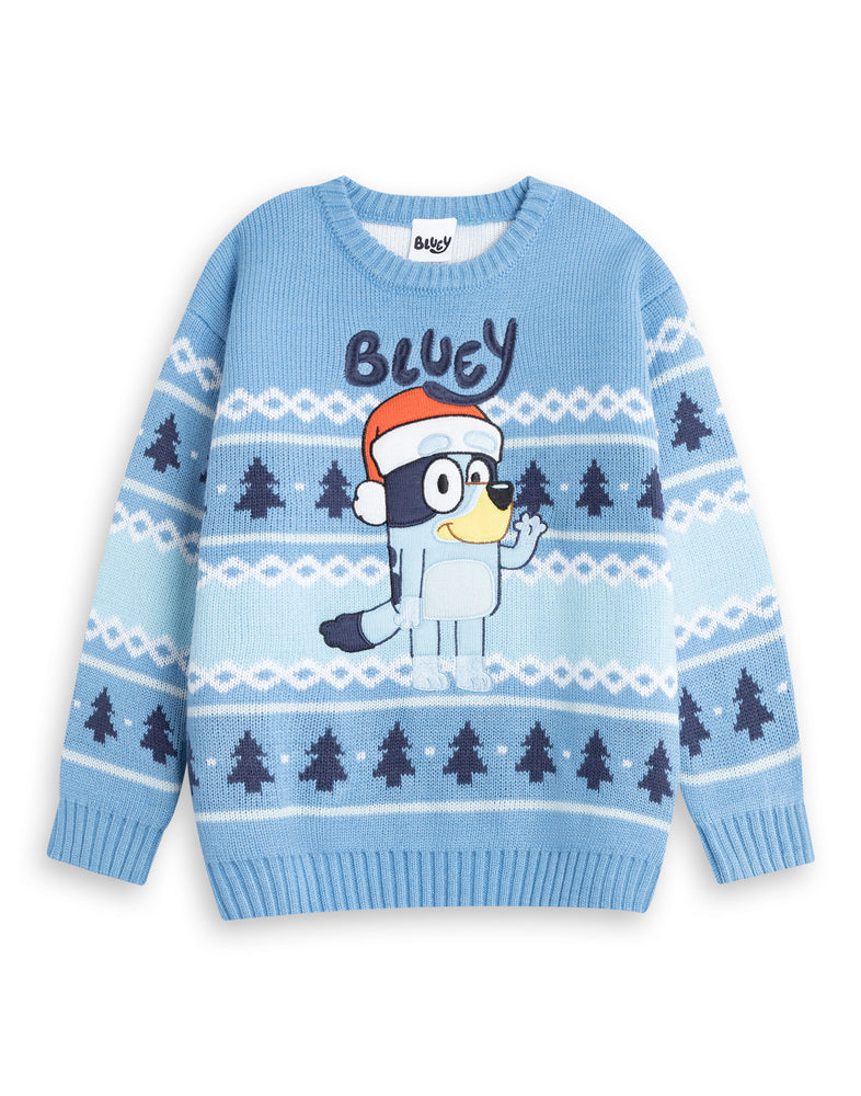 Bluey Character Boys Blue Christmas Jumper