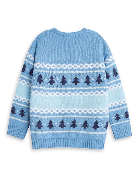 Bluey Character Boys Blue Christmas Jumper