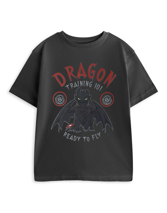 How to Train Your Dragon Training 101 Boys Grey Short Sleeved T-Shirt