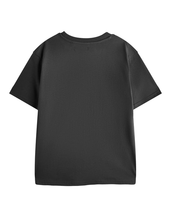 How to Train Your Dragon Training 101 Boys Grey Short Sleeved T-Shirt