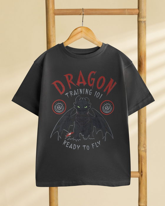 How to Train Your Dragon Training 101 Boys Grey Short Sleeved T-Shirt
