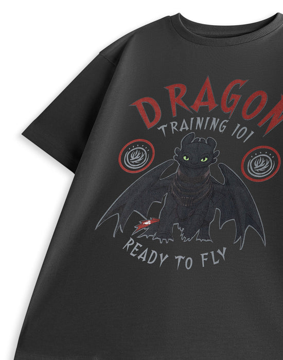 How to Train Your Dragon Training 101 Boys Grey Short Sleeved T-Shirt