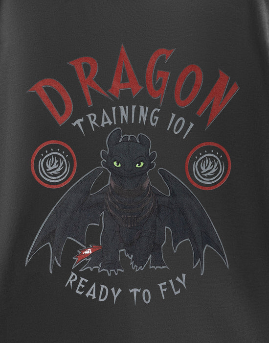 How to Train Your Dragon Training 101 Boys Grey Short Sleeved T-Shirt