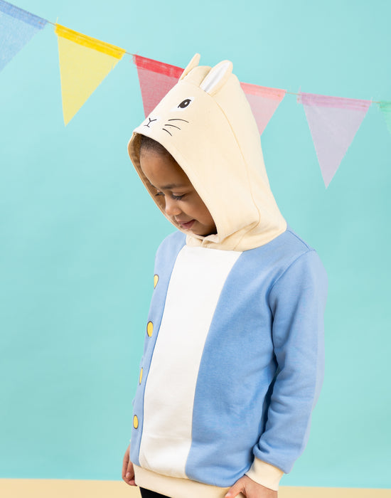 Peter Rabbit Character Unisex Kids Blue Hoodie