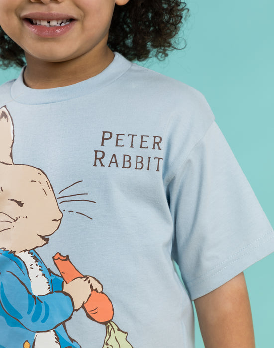 Peter Rabbit Character Unisex Kids Blue Short Sleeved T-Shirt