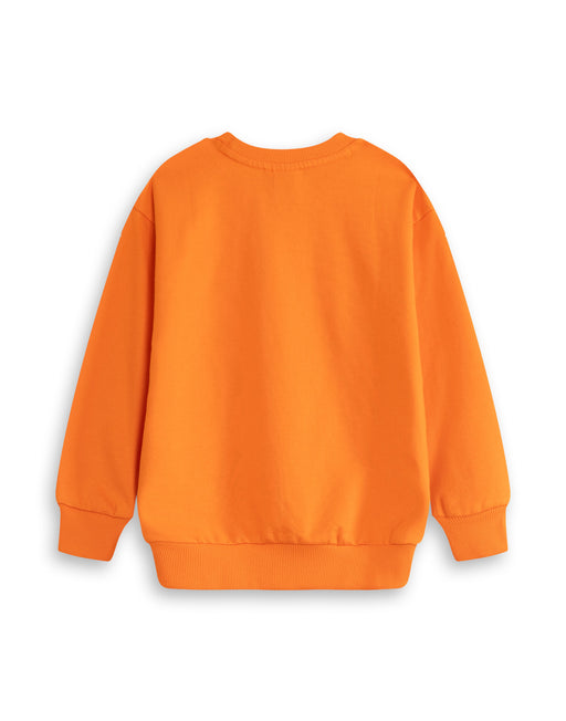 Zog Character Unisex Kids Orange Sweatshirt