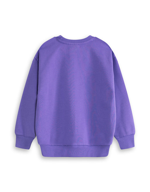 Room On The Broom Multi Character Unisex Kids Purple Sweatshirt