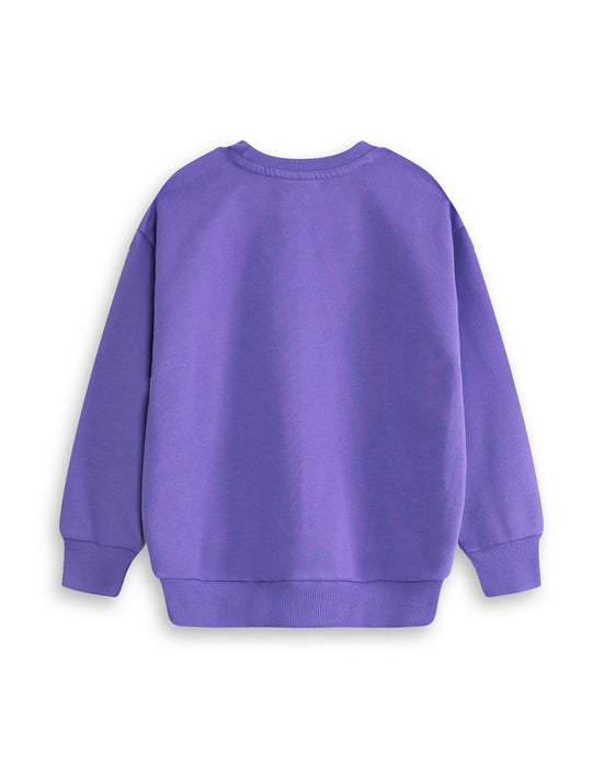 Room On The Broom Multi Character Unisex Kids Purple Sweatshirt