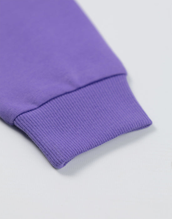 Room On The Broom Multi Character Unisex Kids Purple Sweatshirt