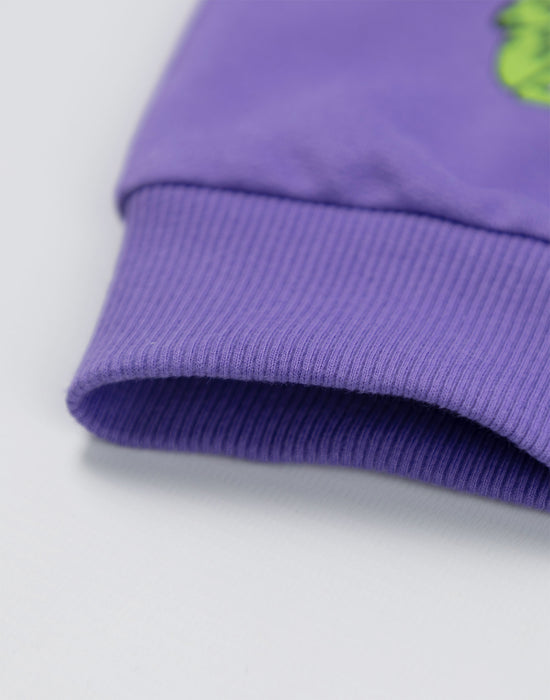 Room On The Broom Multi Character Unisex Kids Purple Sweatshirt