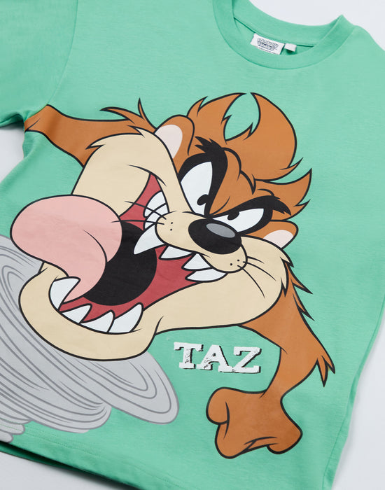 Looney Tunes Taz Boys Green Short Sleeved T-Shirt