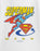 DC Comics Rise To The Top Boys White Short Sleeved T-Shirt