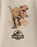 Jurassic World T-Rex Boys Beige Short Sleeved T-Shirt