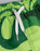 Xbox Logo Boys Green Swim Shorts