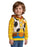 Disney Toy Story Woody Boys Multicoloured Hoodie