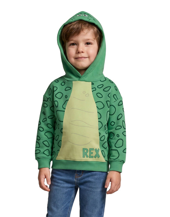 Disney Toy Story Rex Boys Multicoloured Hoodie