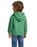 Disney Toy Story Rex Boys Multicoloured Hoodie