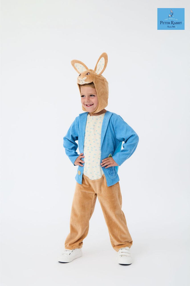 Peter Rabbit 3D Headpiece Boys Multicoloured