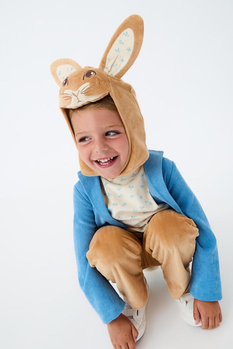 Peter Rabbit 3D Headpiece Boys Multicoloured