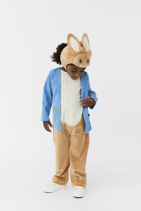 Peter Rabbit 3D Headpiece Boys Multicoloured