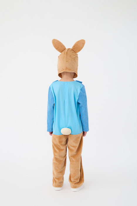 Peter Rabbit 3D Headpiece Boys Multicoloured