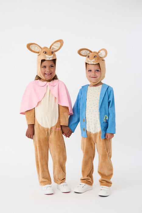 Peter Rabbit 3D Headpiece Boys Multicoloured