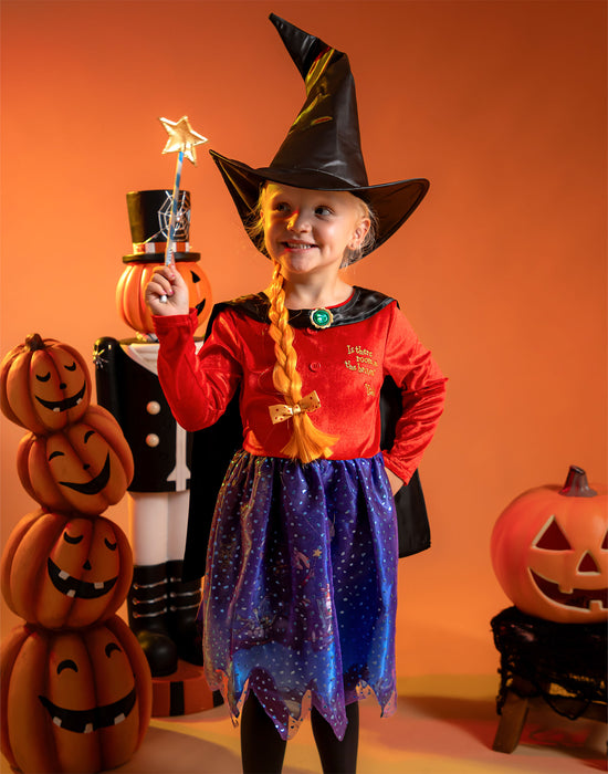 Gruffalo & Friends Room on the Broom Girls Multicoloured 4 Piece Costume