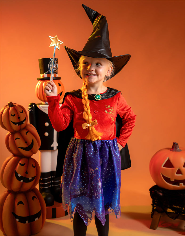 Gruffalo & Friends Room on the Broom Girls Multicoloured 4 Piece Costume