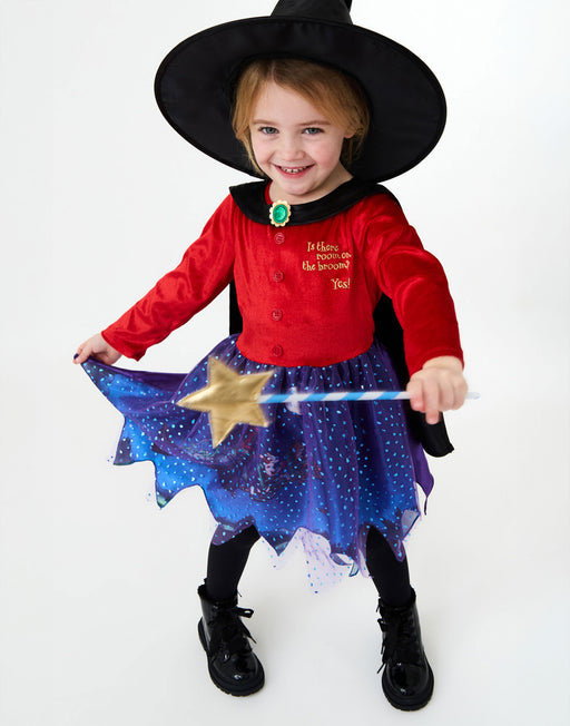 Gruffalo & Friends Room on the Broom Girls Multicoloured 4 Piece Costume